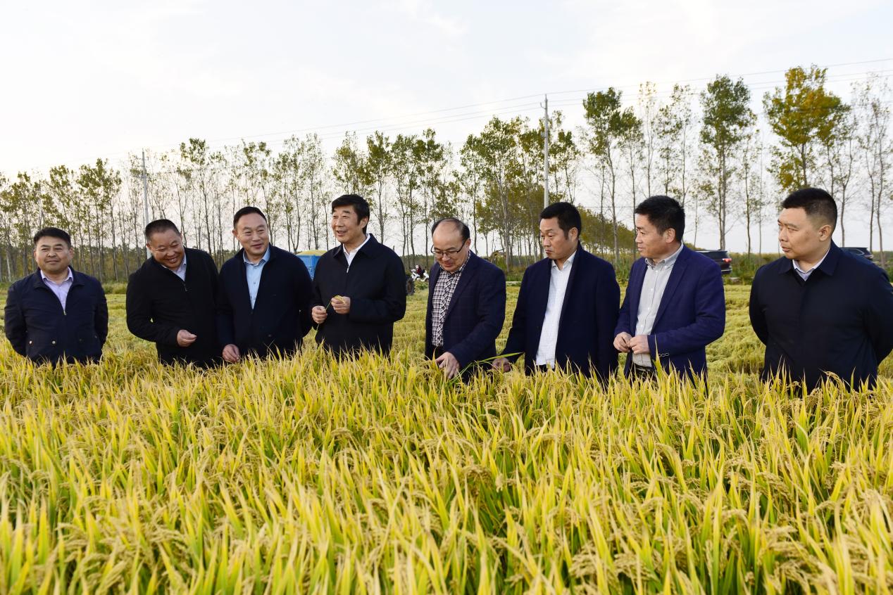 胡兆輝到淮海考察調(diào)研