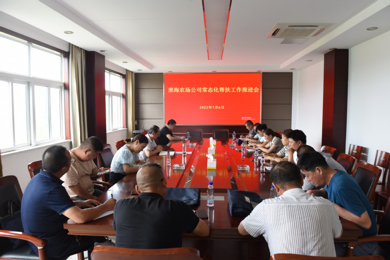 淮海農(nóng)場公司召開上半年常態(tài)化幫扶工作推進(jìn)會.jpg