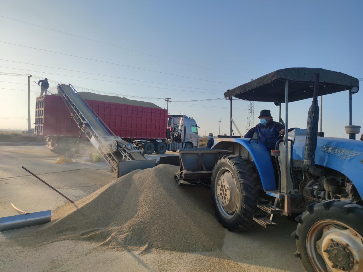 廂式運(yùn)輸車輛為糧食安全暢通收購建立保障.jpg