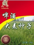 江蘇省大華種業(yè)集團(tuán)有限公司簡介1.jpg