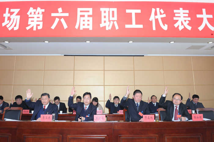 淮海農(nóng)場召開第六屆職工代表大會第六次會議4.jpg