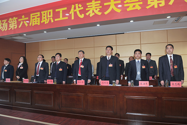 江蘇省淮海農(nóng)場(chǎng)召開六屆八次職代會(huì)5.jpg