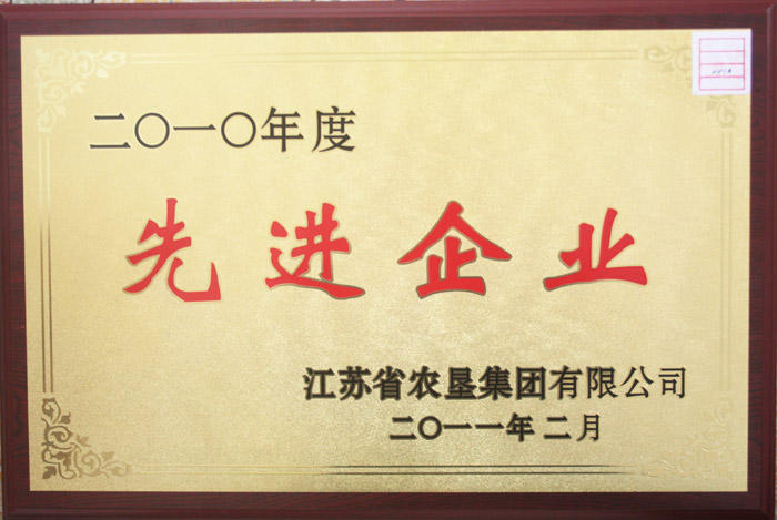 2010年先進企業(yè)