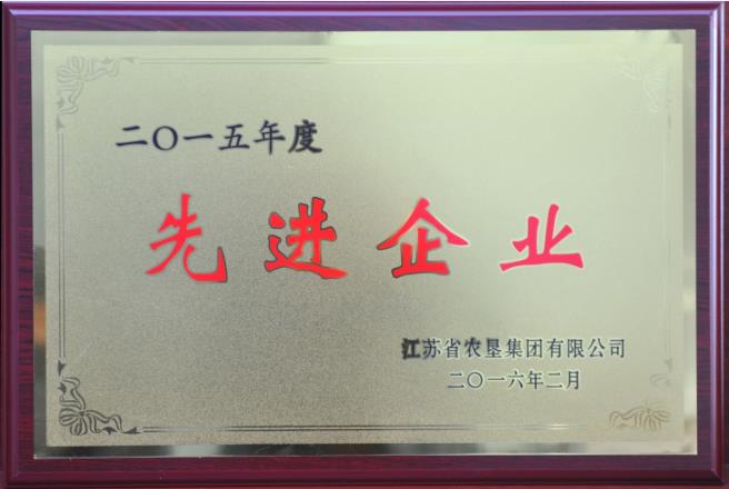 2015年度先進企業(yè)