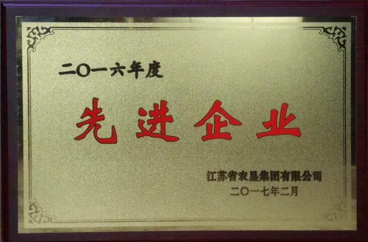 2016年度先進企業(yè)