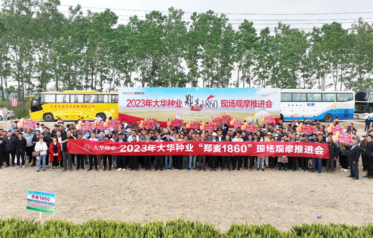 大華種業(yè)“鄭麥1860”現場觀摩會在淮海成功舉辦