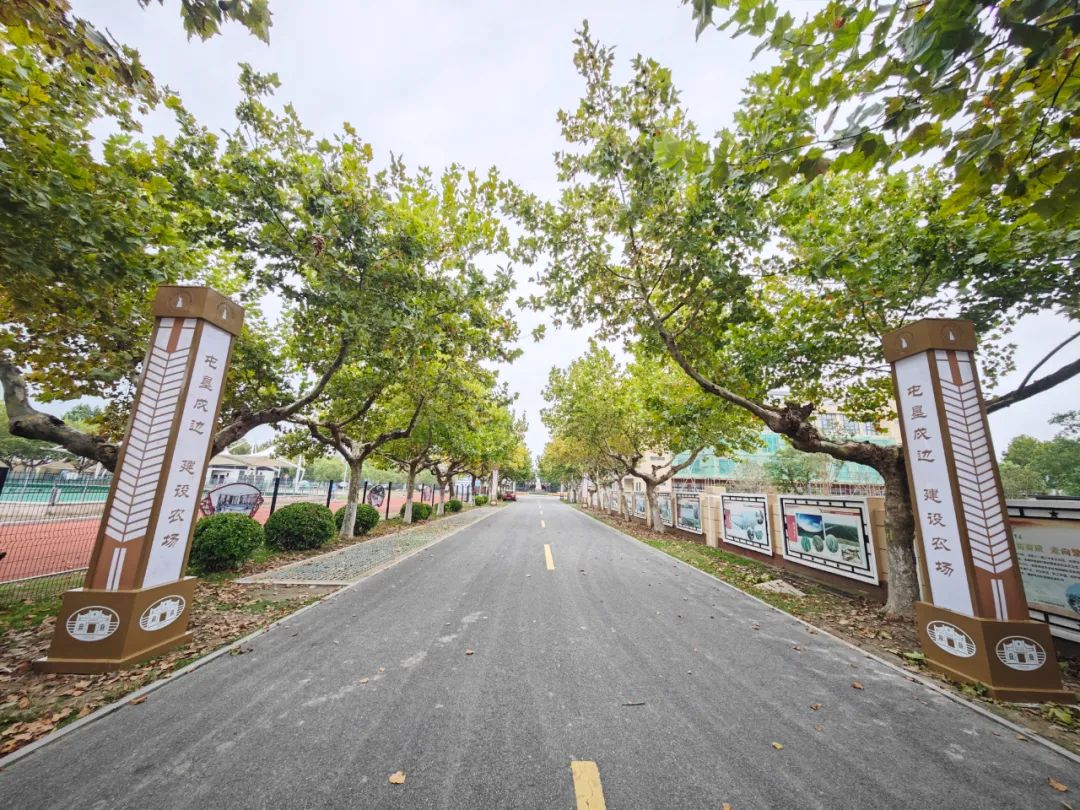 淮海更新安裝路燈百余盞提升交通出行環(huán)境